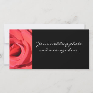 The Rose by Kathryn Trembach Photography