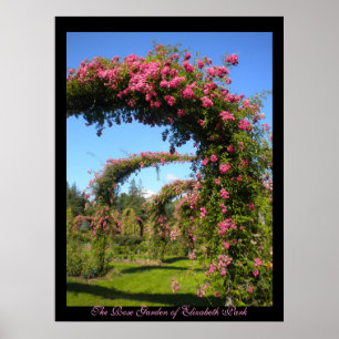 The Rose Garden of Elizabeth Park Poster