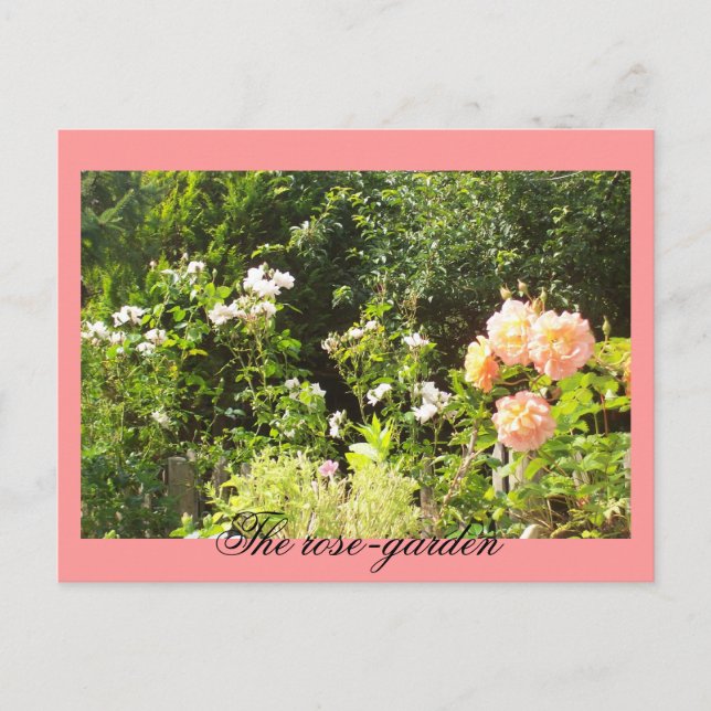 The rose-garden postcard (Front)