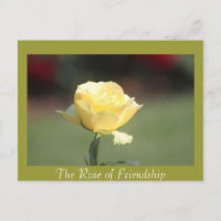 The Rose of Friendship