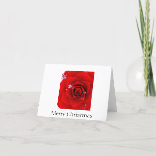 The Rose of Sharon Christmas notecard