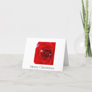 The Rose of Sharon Christmas notecard