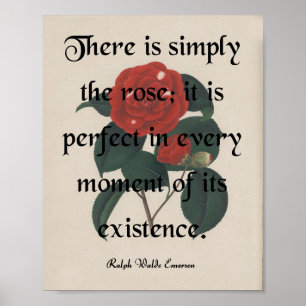 The Rose Poster