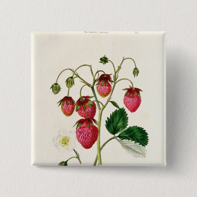 The Roseberry Strawberry, engraved by Watte 15 Cm Square Badge (Front)