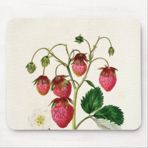 The Roseberry Strawberry, engraved by Watte Mouse Mat