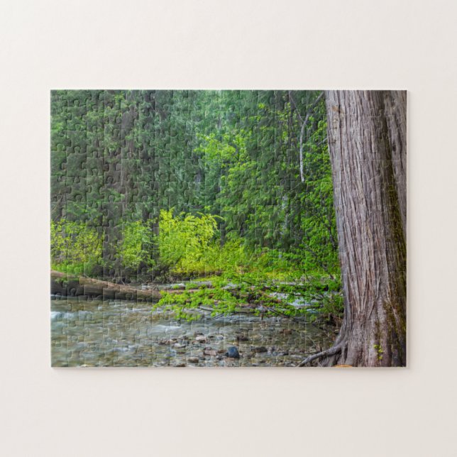 The Ross Creek Cedars Scenic Area Jigsaw Puzzle (Horizontal)