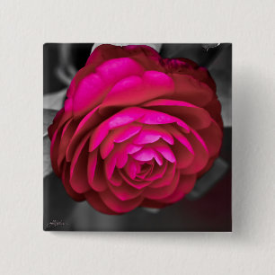 The Rosy Camellia 15 Cm Square Badge