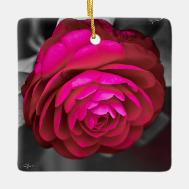 The Rosy Camellia  Ceramic Ornament (Front)