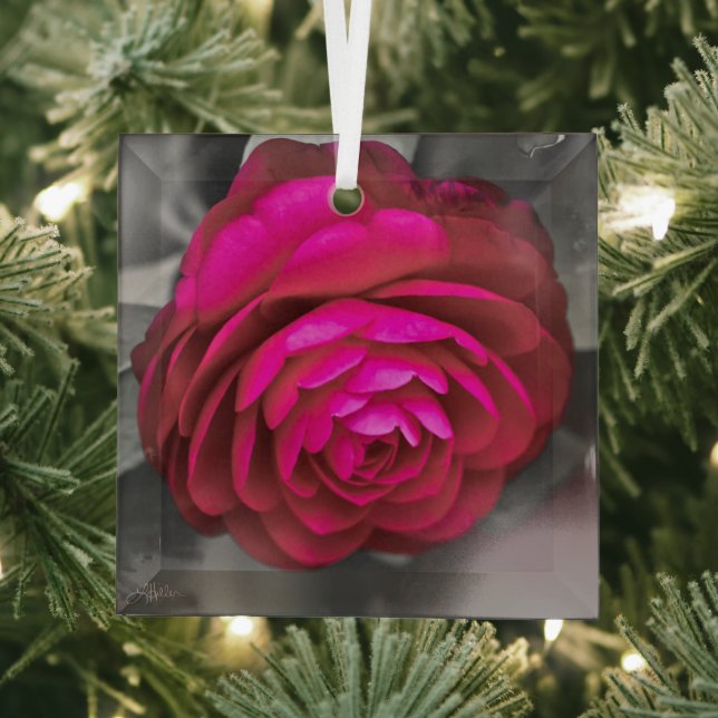 The Rosy Camellia  Glass Tree Decoration (Insitu)