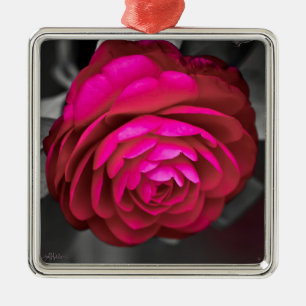 The Rosy Camellia  Metal Tree Decoration