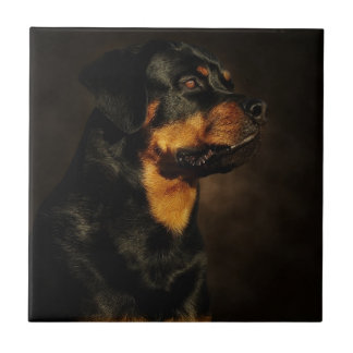 The Rotty Tile