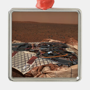 The rover's landing site metal tree decoration