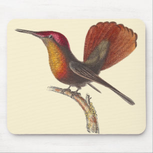 The Ruby Topaz Hummingbird - Rene Primevere Lesson Mouse Mat
