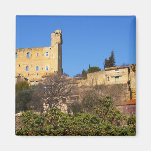 The ruins of the Pope's summer castle in Magnet