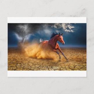 The Runaway Postcard
