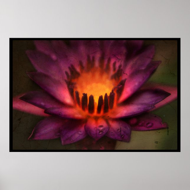 The Sacred Fire Dance of a Lotus Poster (Front)