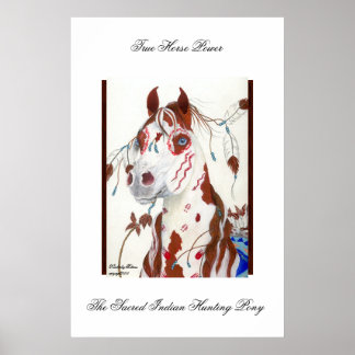 The Sacred Indian Hunting Pony Poster