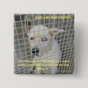 The sadness you see in a shelter dog 15 cm square badge