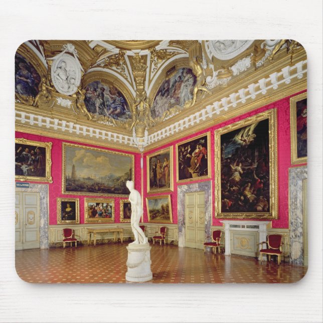 The 'Sala di Venere' (Hall of Venus) containing th Mouse Mat (Front)