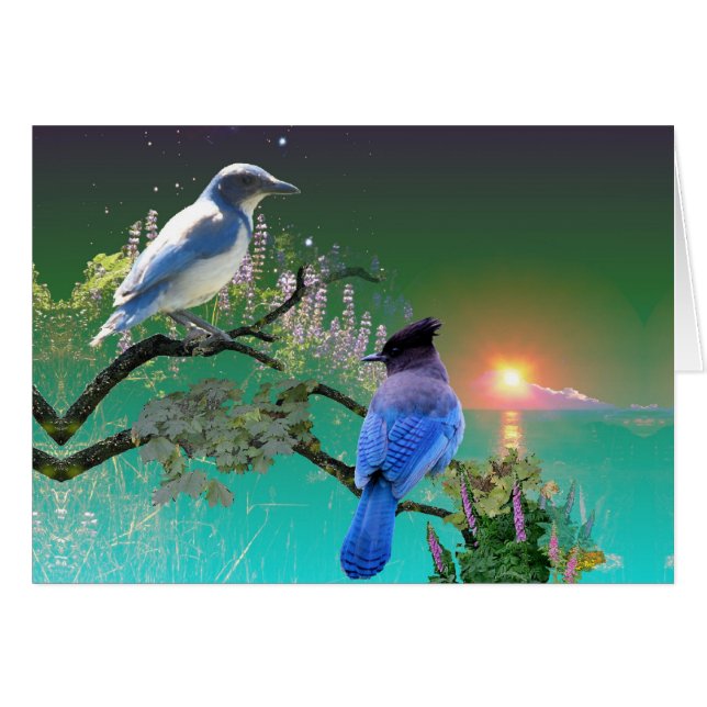 The Same and Different (Front Horizontal)