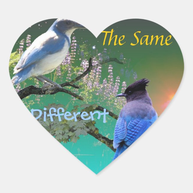 The Same & Different Heart Sticker (Front)