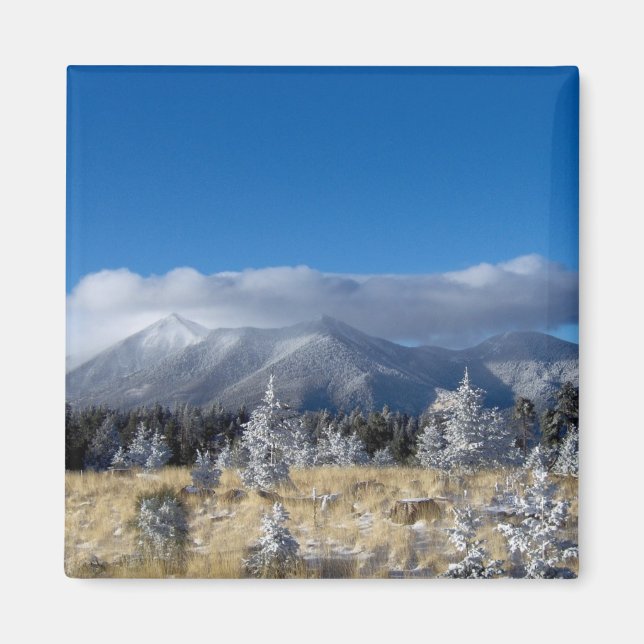 The San Francisco Peaks Of Flagstaff Freshly Coate Magnet (Front)