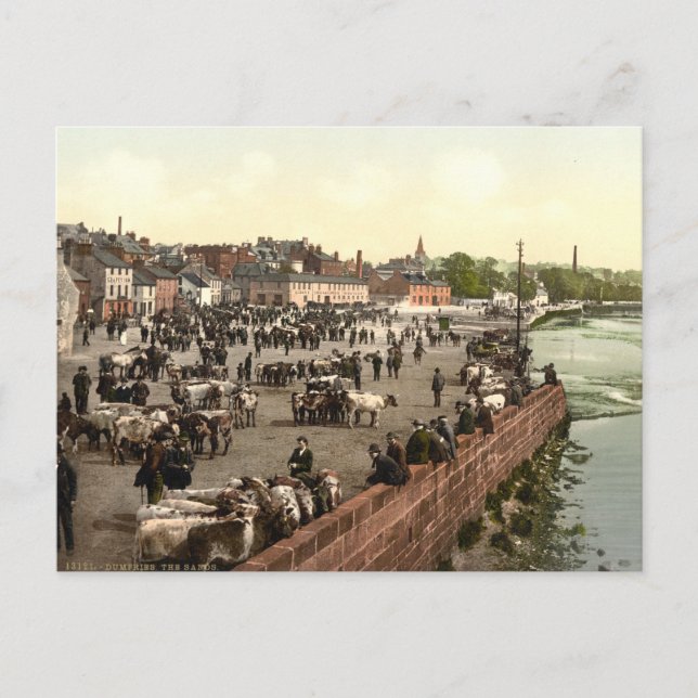 The Sands, Dumfries, Scotland Postcard (Front)