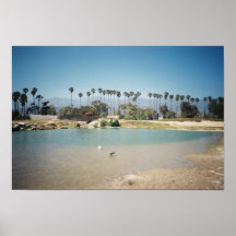 The Santa Barbara coast