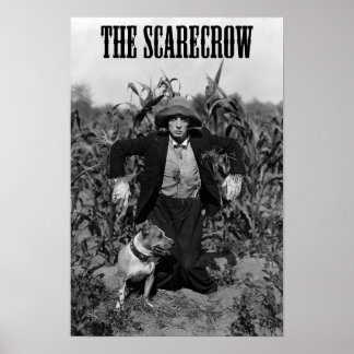 The Scarecrow 1920 Classic Movie Poster