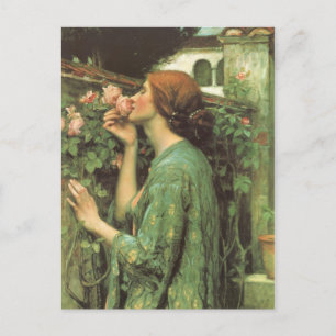 The Scent of Roses Postcard