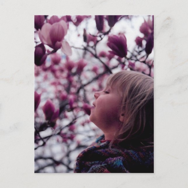 The Scent of Spring Postcard (Front)