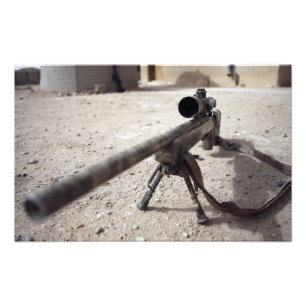 The Schmidt & Bender M-854155 DS Photo Print