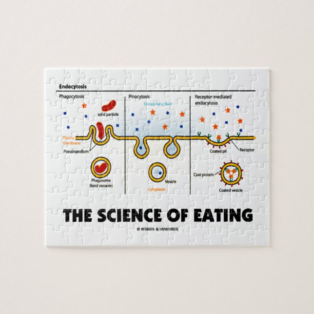 The Science Of Eating (Endocytosis Biology Humour) Jigsaw Puzzle (Horizontal)