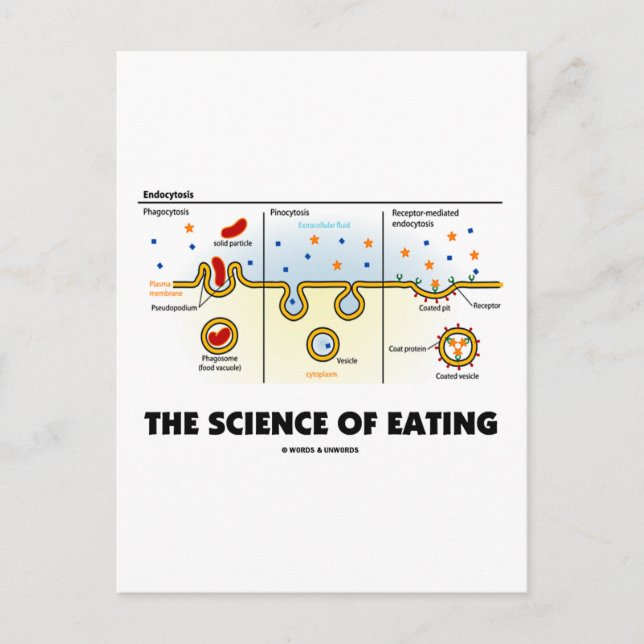 The Science Of Eating (Endocytosis Biology Humour) Postcard (Front)