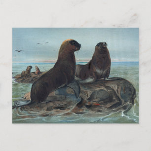 The Sea Bear by Joseph Wolf Postcard