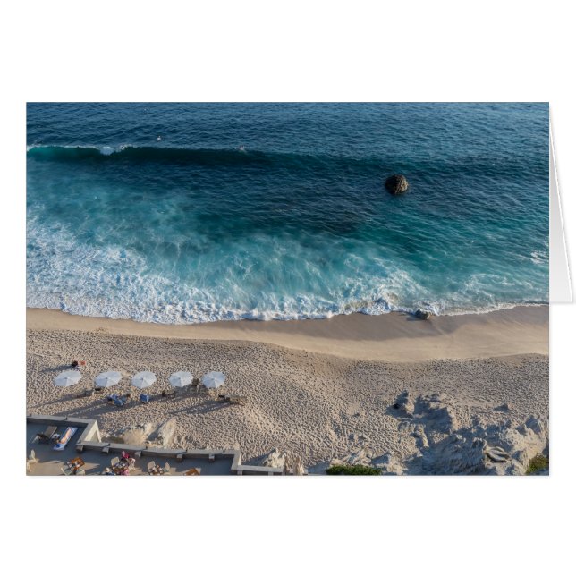 The Sea of Cortez (Front Horizontal)