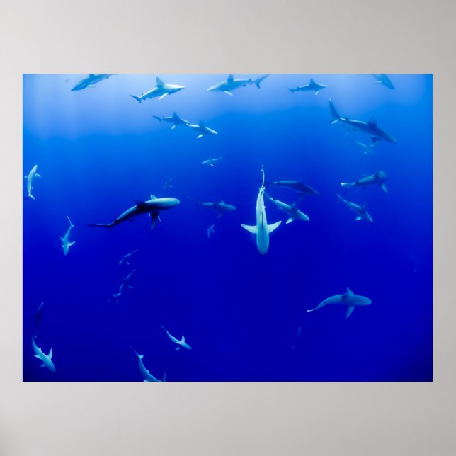 THE SEA POSTER (Front)