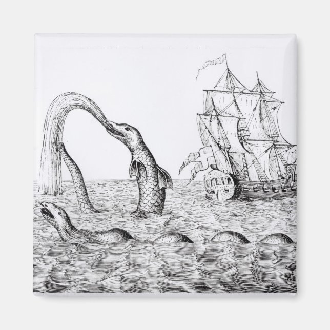 The Sea Serpent Magnet (Front)