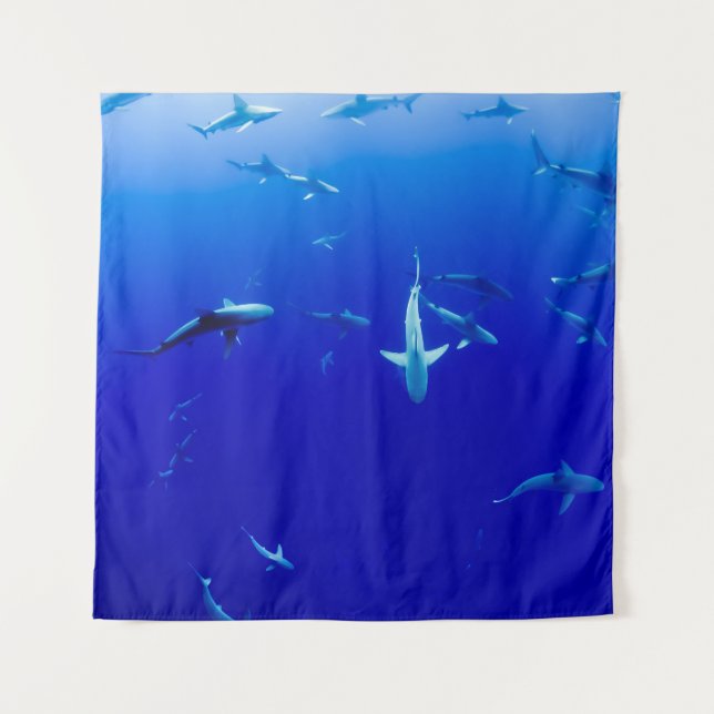 THE SEA TAPESTRY (Front)