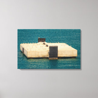 the seagulls on stretched canvas print