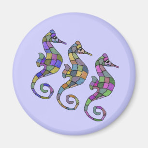 The Seahorse Rainbow Magnet