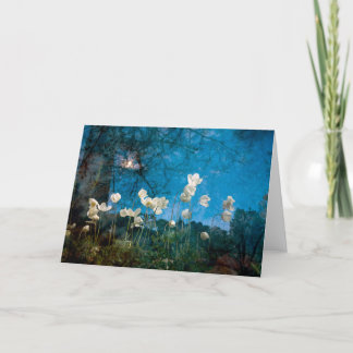 the search of spring card