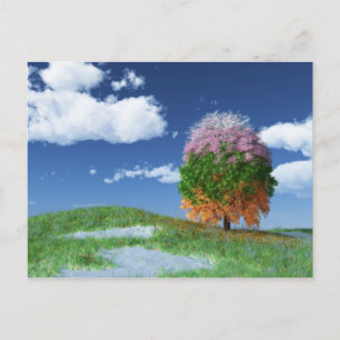 The Season Tree Postcard