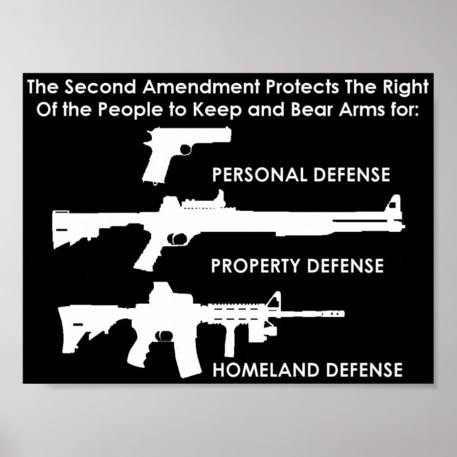The Second Amendment Protects Poster (Front)
