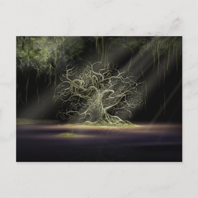 The Secret 1 Postcard (Front)