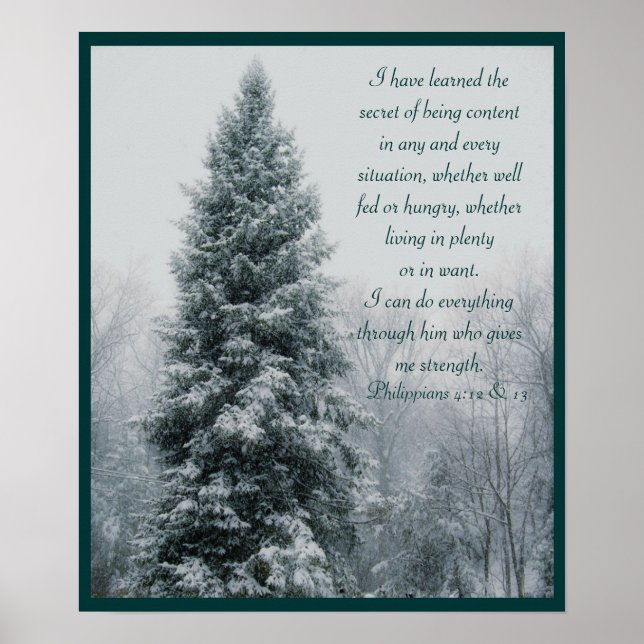 The Secret Christian Winter Scene Poster (Front)