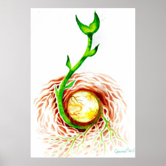 The seed of life poster