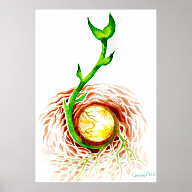 The seed of life poster (Front)