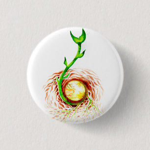 The seed of life poster canvas print postcard magn 3 cm round badge