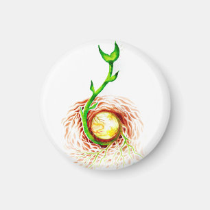 The seed of life poster canvas print postcard magn magnet